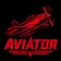 aviatorgame.fr